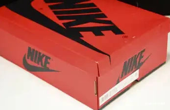 Hyperoad “Washed Jordan Air Pink” 1 FD2596-600 OG High 0609